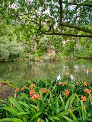 Lake in the park, Auckland, New Zealand