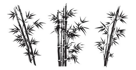 Naklejka premium Bamboo hand drawn style, illustrations