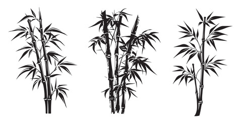 Bamboo hand drawn style, illustrations