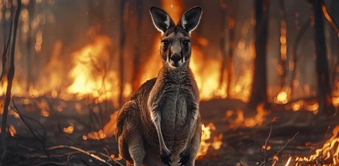 Gordijnen A kangaroo during a forest fire. Generative AI. © visoot