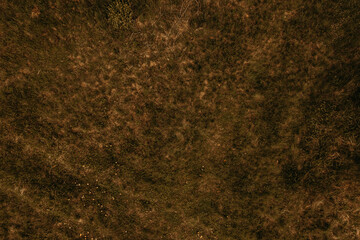 Texture wallpaper mockup template Dry grass texture aerial view