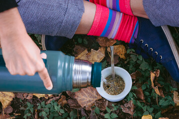 Adding hot water in mate drink between leves at the park during autumn