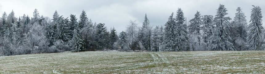Winter view, meadow and forest, snowy landscape