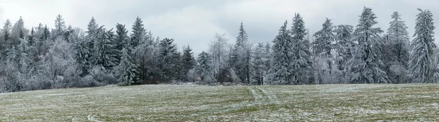 Fototapete Rund Grau Winter view, meadow and forest, snowy landscape  © Daniel Prudek