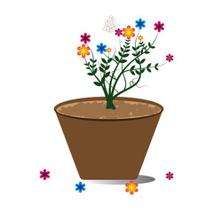 Flower pot with different color flowers. Flowers in pots. Flower pot, flowers design on white background