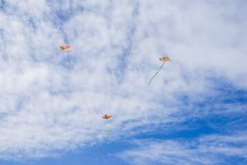 Background of a kite flying on the sky. Flying a kite is common outdoor activity during summer. Kids, adults or family member can play this sport together thanks to mild wind. Nice concept for hobby