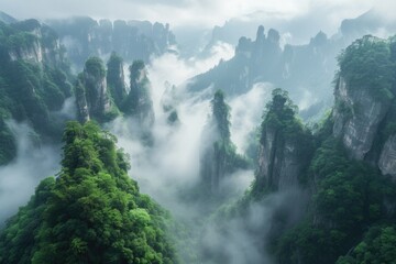 Majestic Green Mountains shrouded in morning mist - obrazy, fototapety, plakaty