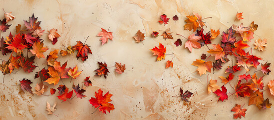 Autumn leaves on old paper background, top view, copy space