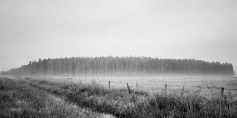 Rolgordijnen Forest and Swamp Landscapes © FLFisher Photography
