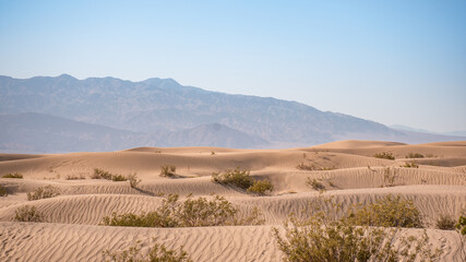 Fototapeta na wymiar Desert Landscapes