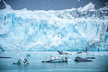 Deurstickers Alaskan Landscapes © FLFisher Photography