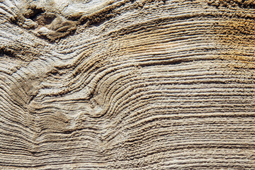 Old natural wooden shabby background close up - 745359598