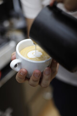 bartender making a cappuccino coffee