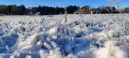 the grass in the field has been covered in snow under it