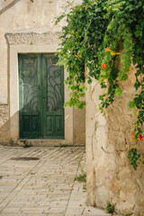 Fototapeta na wymiar Old stone wall with summer green ivy and gate to house in Old Town of Biograd na Moru in Croatia