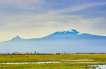 Mount Kilimanjaro towers over the vast Amboseli national park savanna providing a picture perfect...