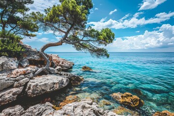 Serene view of the crystal blue Mediterranean Sea with a solitary pine tree on rocky coastline under a clear sky