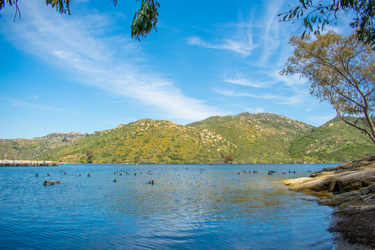 Lake with ducks on it and mountains in the background