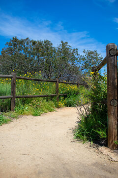 Wooden fenced hiking trail in spring