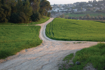 tree, nature, wood, forest, foliage, sunlight, light, morning, green, landscape, image, majestic, relaxation, resting, shine, sunbeam, sunshine, sunrise, tranquility, valley, vacations, wallpaper, woo