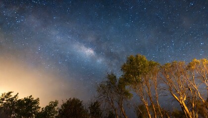 Beau ciel nocturne, la Voie Lactée et les arbres