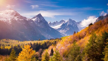 Belle Flou Nature.arrière-plan Flou