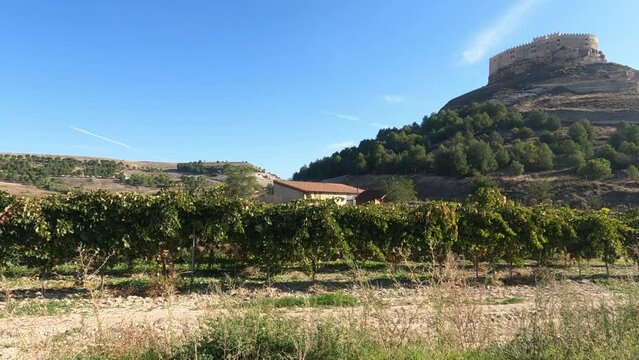 Los vi&ntilde;edos se extienden bajo una imponente colina coronada por un majestuoso castillo en un paisaje sobrecogedor.