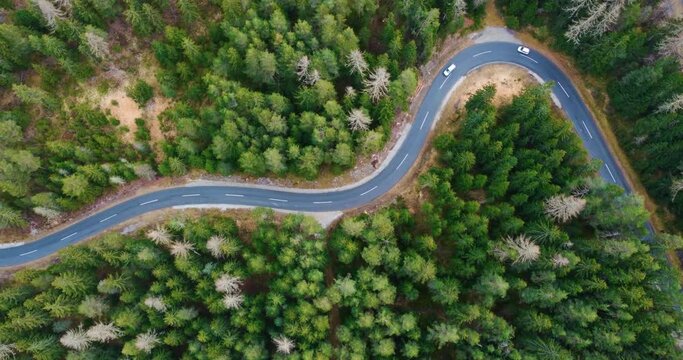 Aerial view of the road in the middle of the forest. Aerial View of a zigzag mountain road. The road through the green forest, from the height of flight, the road passes through the forest.