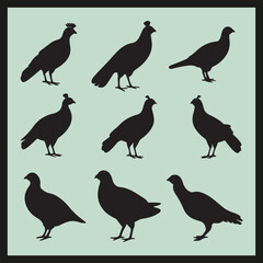 Grouse black silhouette set vector, birds silhouettes set