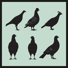 Obraz premium Grouse black silhouette set vector, set of birds