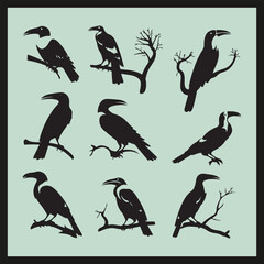  Hornbill black silhouette set vector, set of birds silhouettes