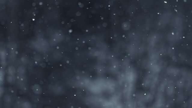 Real Snow snowing in dark nature in winter background, slow motion