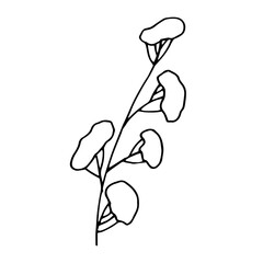 black and white orchid on white, tattoo, sketch, freehand drawing, floristry, contour, one line, vector, twig, leaves, petal, leaves, nature, organic