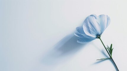 a single blue flower sitting on top of a white counter top next to a green stem on the side of a white wall.