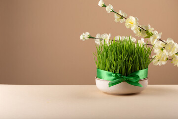 Traditional Novruz semeni wheat glass decorated with ribbon on neutral beige shebeke background and white blooming branch, celebration of spring equinox in Azerbaijan