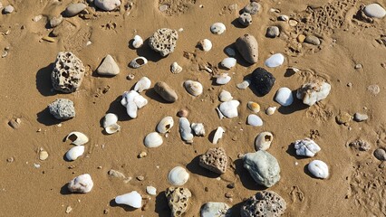 Stones and shells on sand