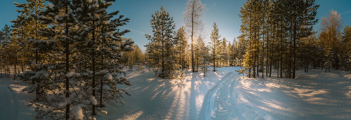 Scenic photo of forest edge with snowmobile traces in fresh snow. Sunny frosty winter day