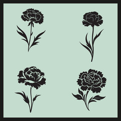 Carnation black, set of flowers