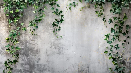 Fotobehang Plant leaves branch flora on old grunge garden wall. Background concept © PrettyVectors