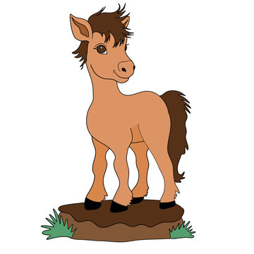 Digital illustration in simple style: cute horse pony character for children