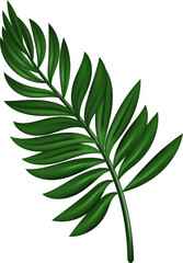 palm leaves for the site, poster. on transparent, png. Summer jungle plant. Tropic branch. beach . Tropic vacation