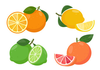 Set of citrus with slices. Fresh whole orange, lemon, lime and grapefruit with leaves and parts of citruses. Organic fruits for juice, smoothie or vitamin C healthy food. Vector illustration on white.