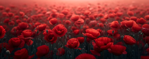 Foto op Aluminium field of bright red poppies under the soft glow of the sunset, a picturesque scene of natural beauty and tranquility © Ms_Tali