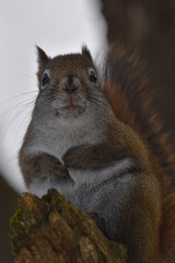 La Plaine 25 Février 2024