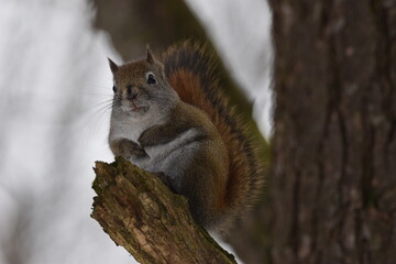 La Plaine 25 F&eacute;vrier 2024