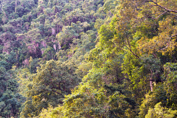 Crystal Cascades near Cairns, Far North Queensland, showcases pristine waterfalls, lush rainforest, and tranquil pools amidst tropical beauty.