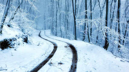 snow covered road
