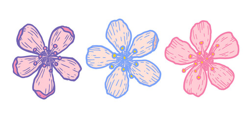 Vector icons of cherry flowers in doodle style. Vector sketch of sakura flowers.