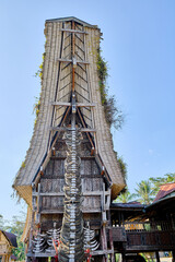 Sulawesi - Architektur der Torajas - 745420740