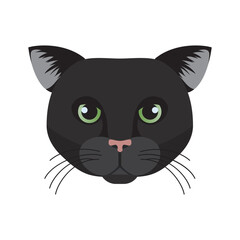 Bombay cat face, head of short haired black elegant kitten vector illustration